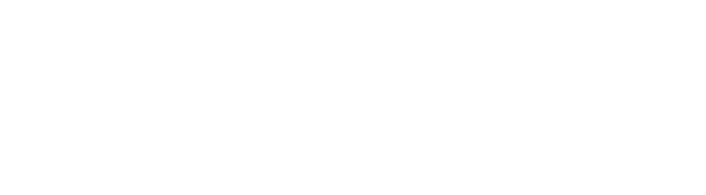 Ridivi